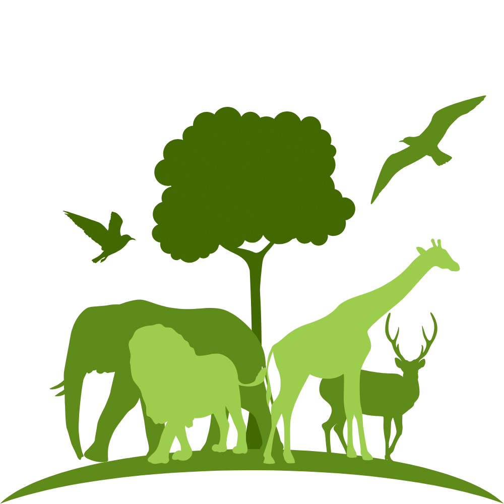 Graphic of a wildlife sanctuary