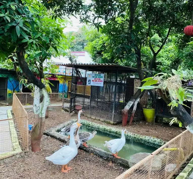 Nashik bird garden